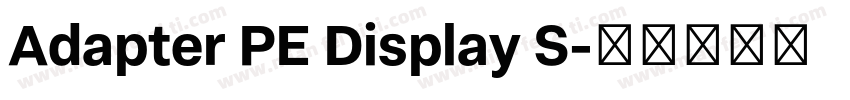Adapter PE Display S字体转换